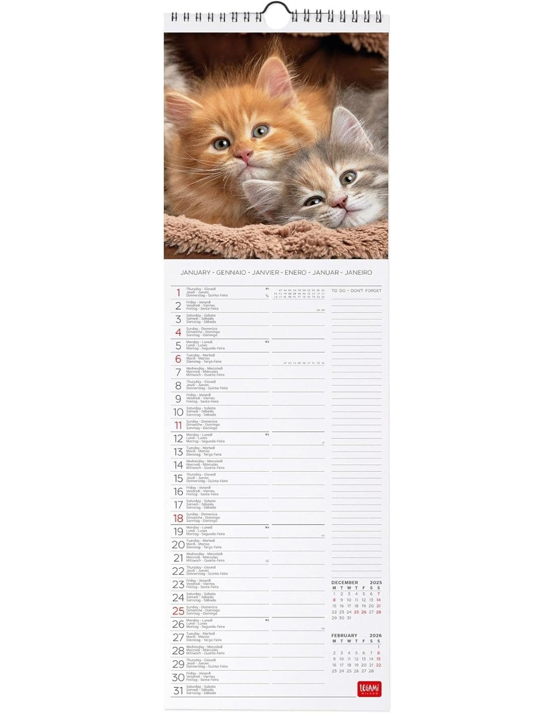 Calendario Da Parete 2026 Kittens Legami