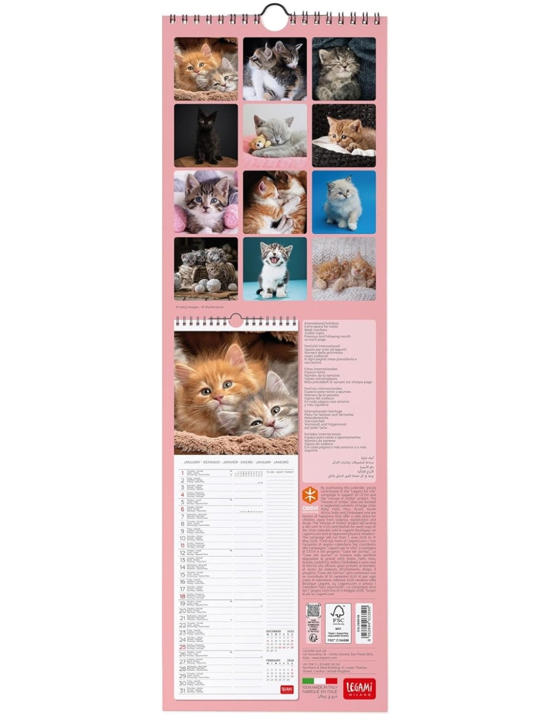 Calendario Da Parete 2026 Kittens Legami