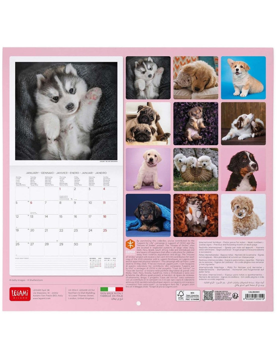 Calendario Da Parete 2026 Puppies Legami Small