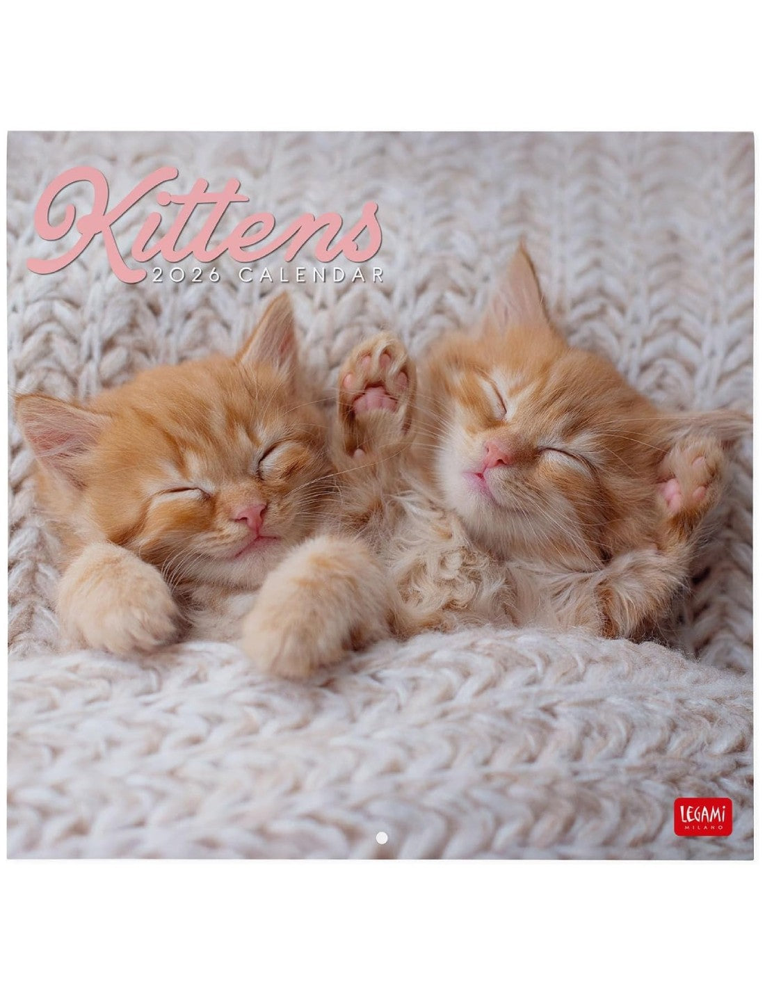 Calendario Da Parete 2026 Kittens Legami Small