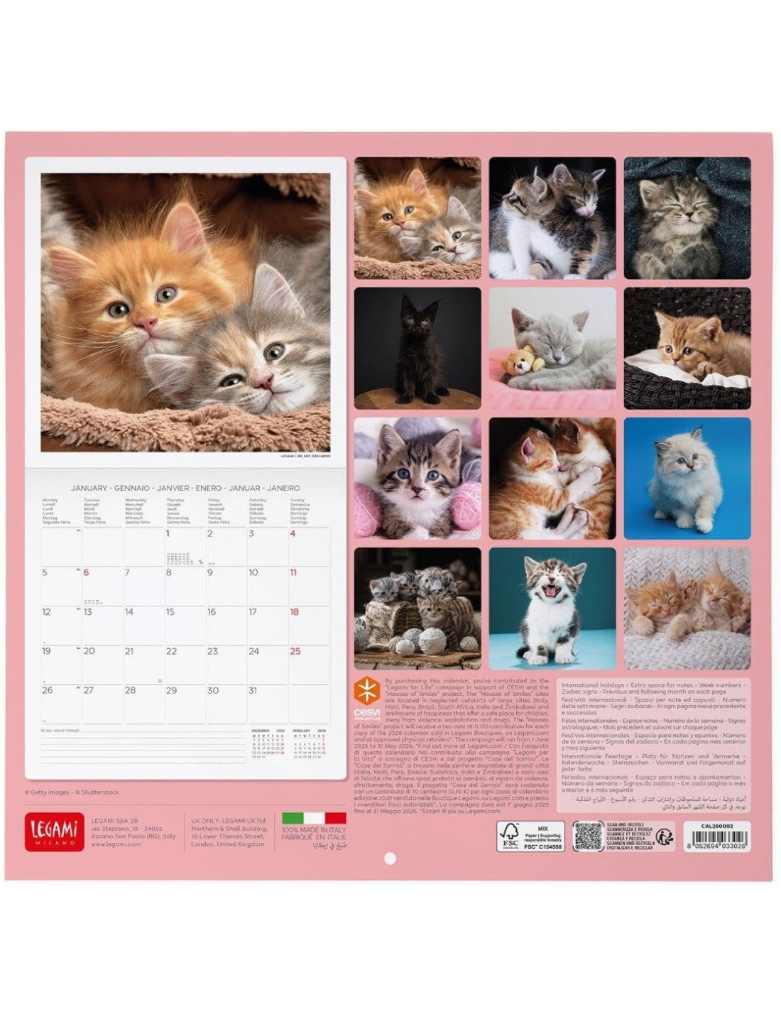 Calendario Da Parete 2026 Kittens Legami Small