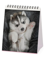 Calendario Da Tavolo 2026 Puppies Legami