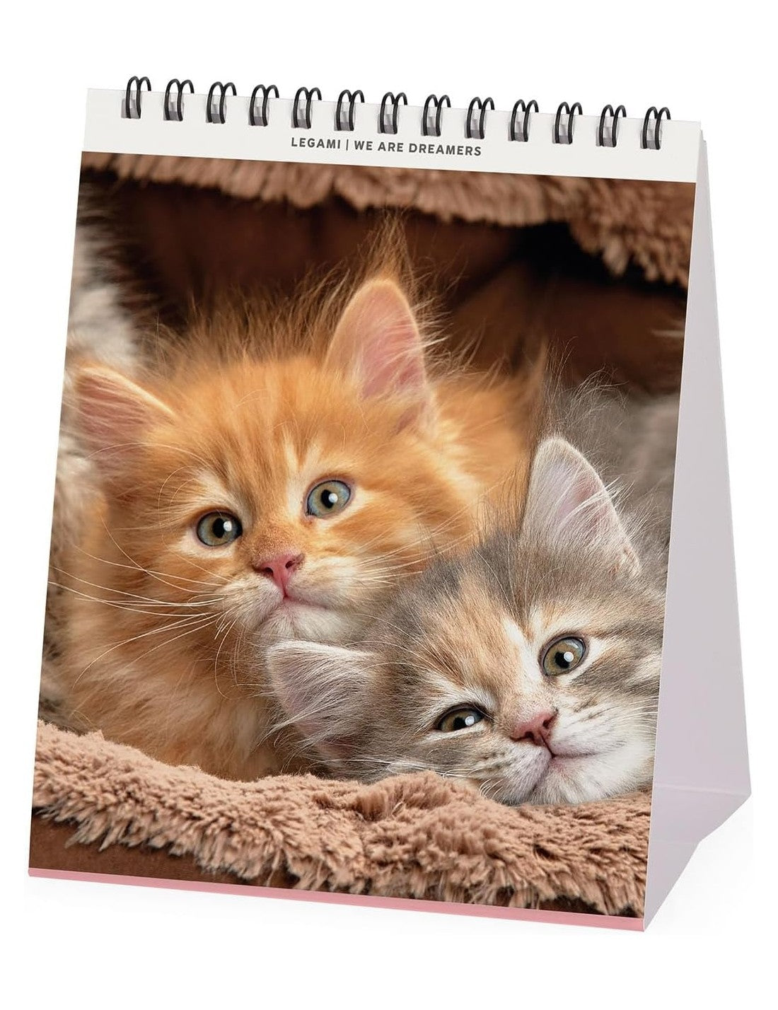 Calendario Da Tavolo 2026 Kittens Legami