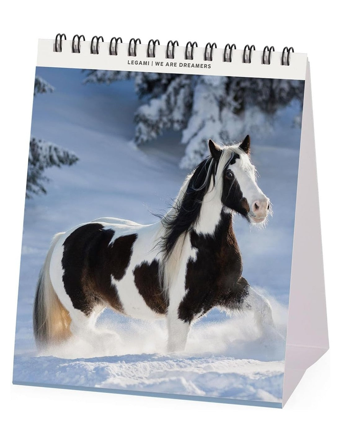 Calendario Da Tavolo 2026 Wild Horses Legami