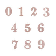 25308_1|5bb110a620adc823dd3f5f34fcce69ff