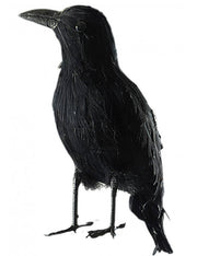 Accessorio Halloween Corvo Decorativo 22cm
