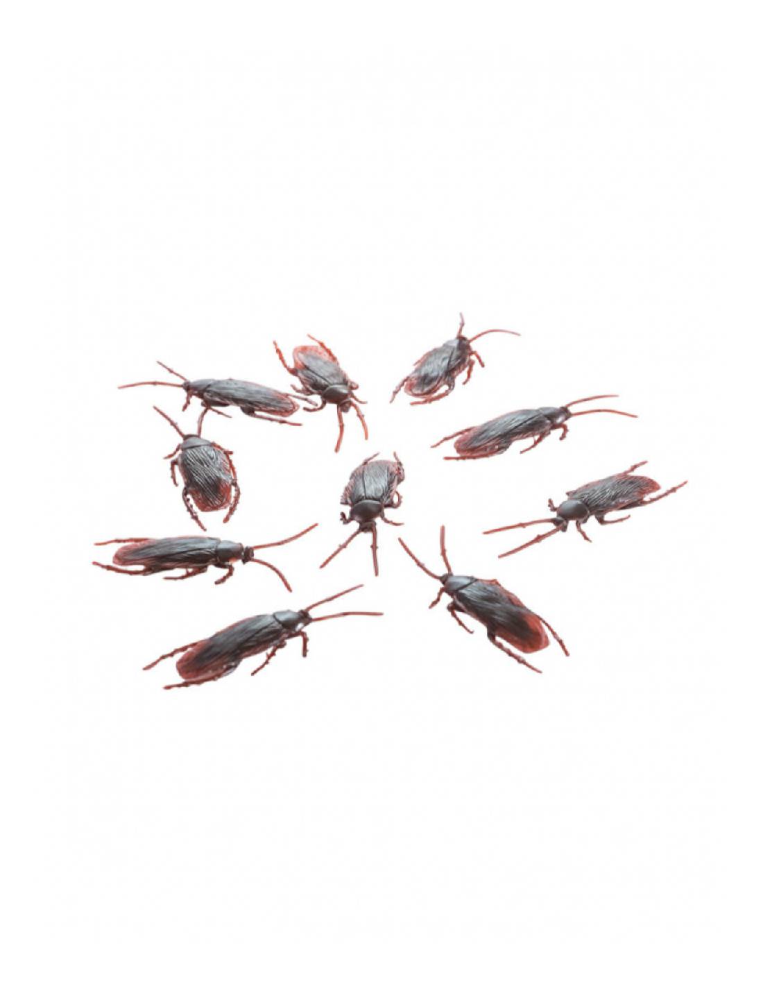 Set 10 Scarafaggi Halloween 7cm