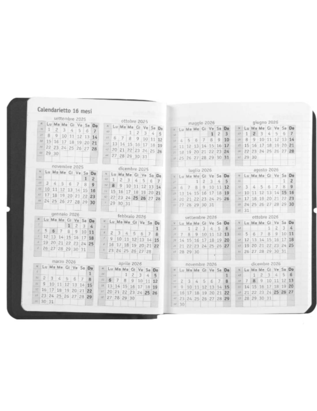 Agenda Giornaliera 16 Mesi 2026 Comix U Yourself Mini