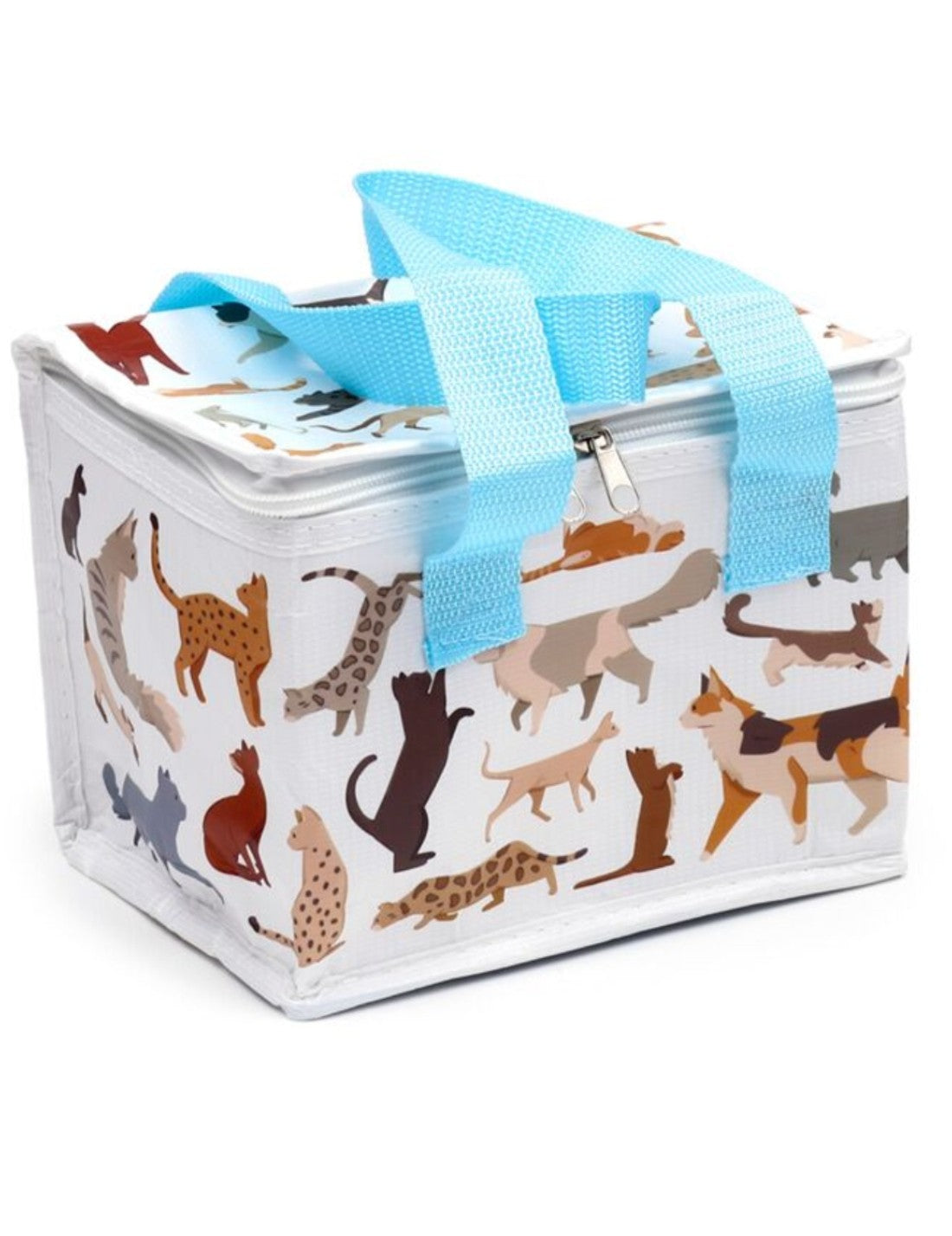 25799_1|d5194451b95b2b0dbe8c680db1e4e212