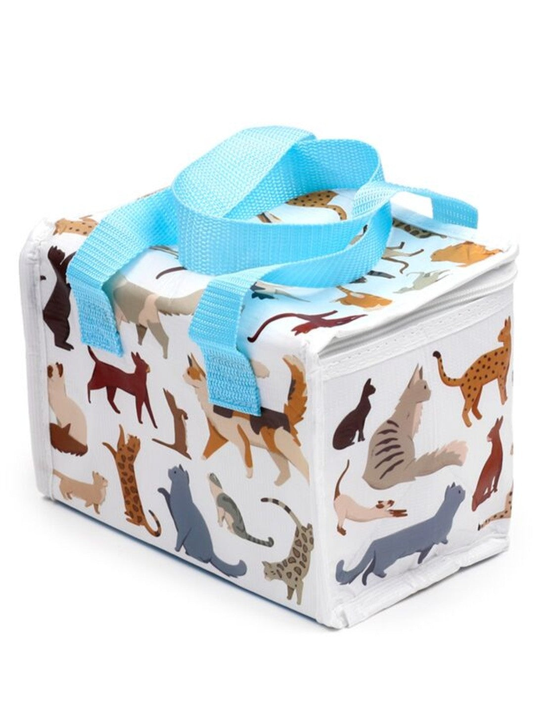 25799_2|677848d7e3a17f18aaa07de6f2f50d45