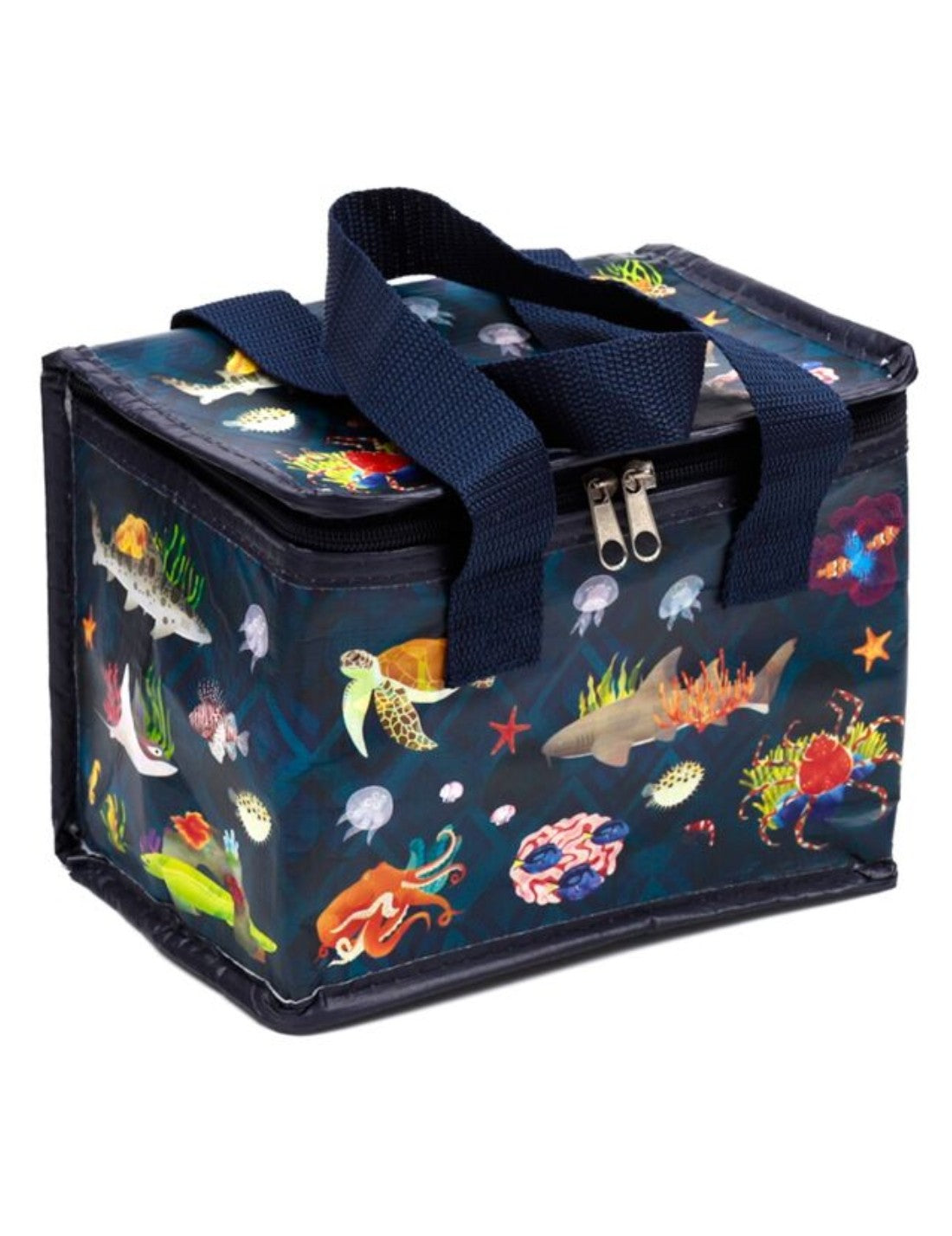 25800_1|13ec121e127aa365ff4c5d7fb7d025e6