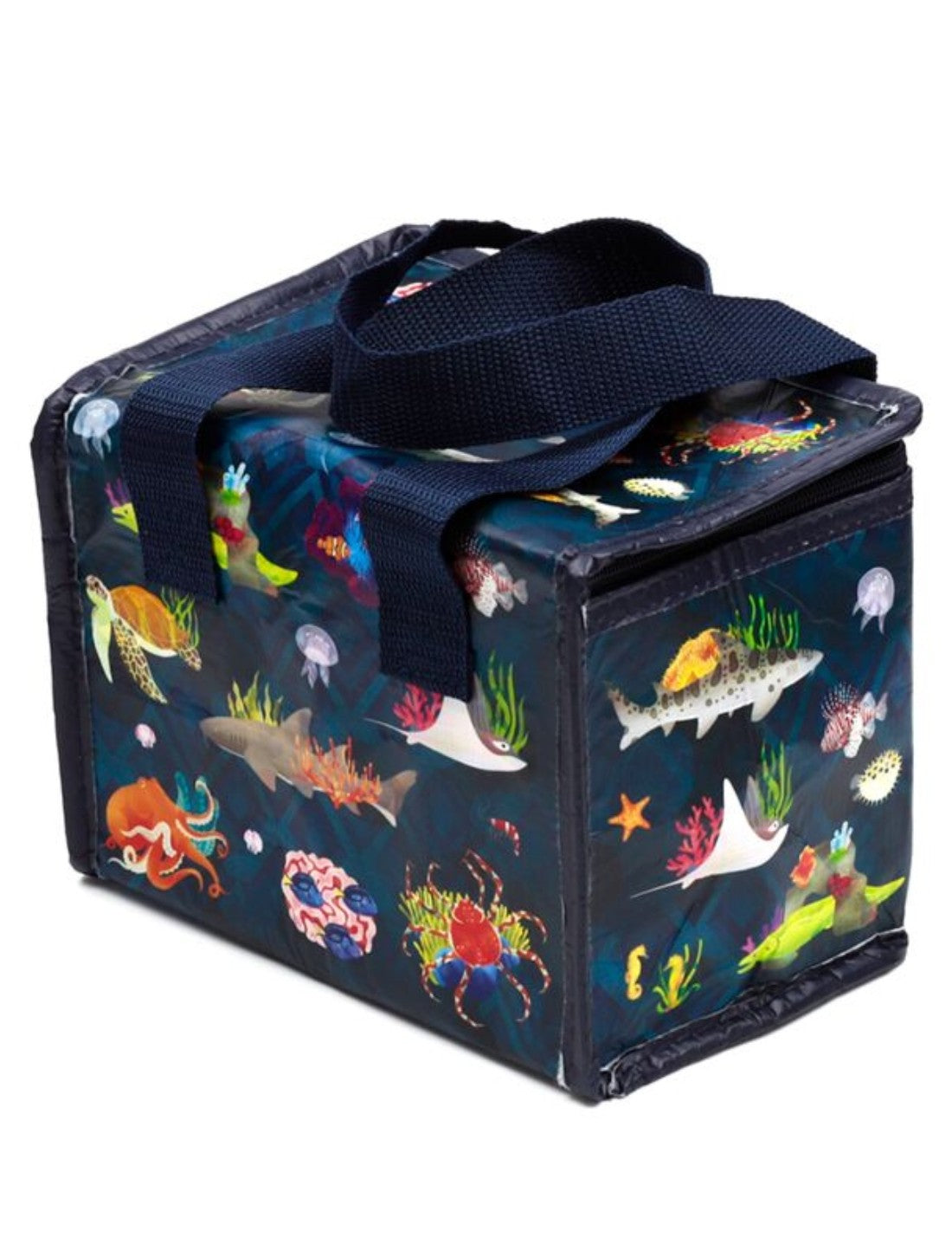 25800_2|3d819fb49006d6795f5f657150dc7020