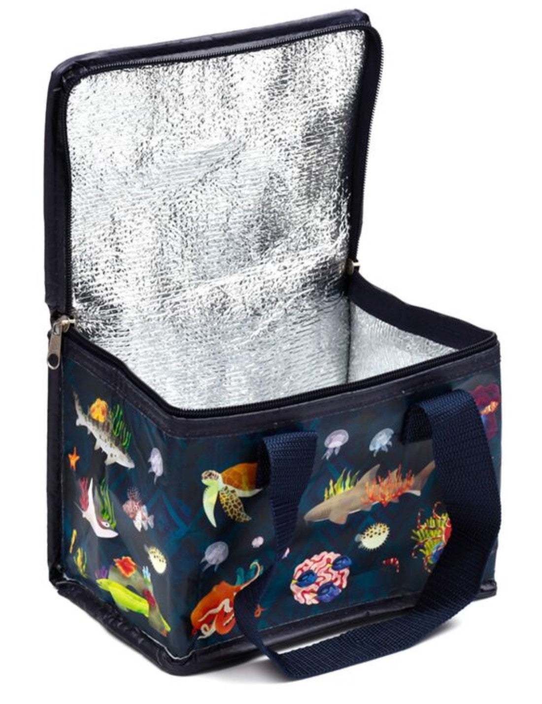 25800_3|bb6b4ee27950b3d08cf8ff4340126af7