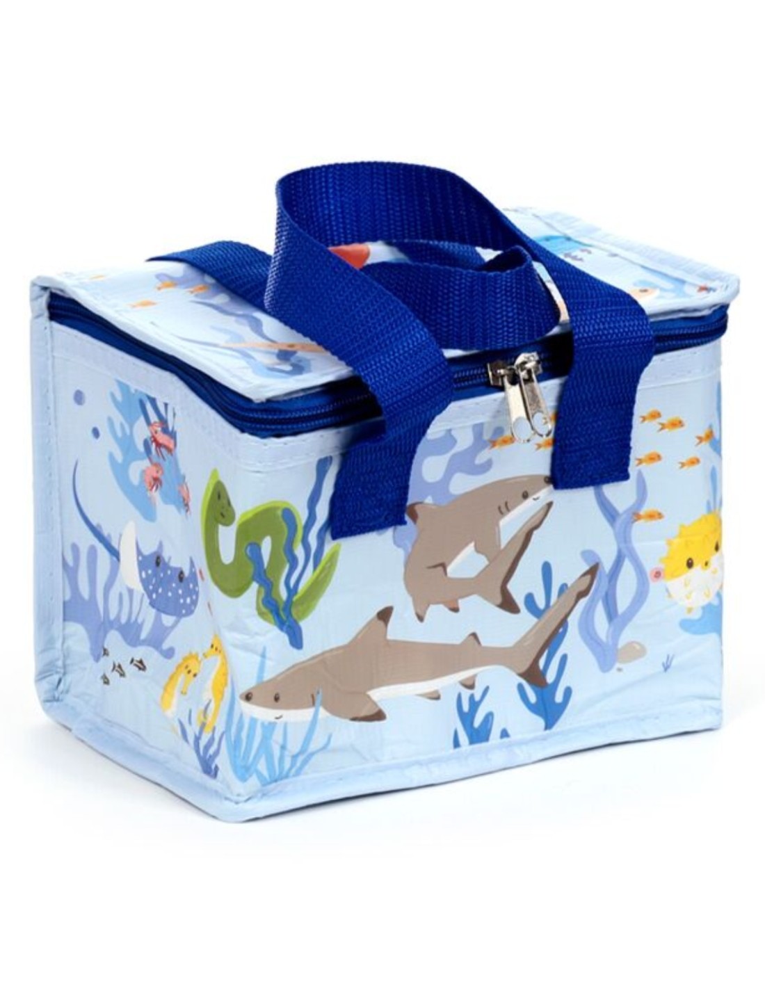 25802_1|31926f7c0cd001d37998029f447519ea