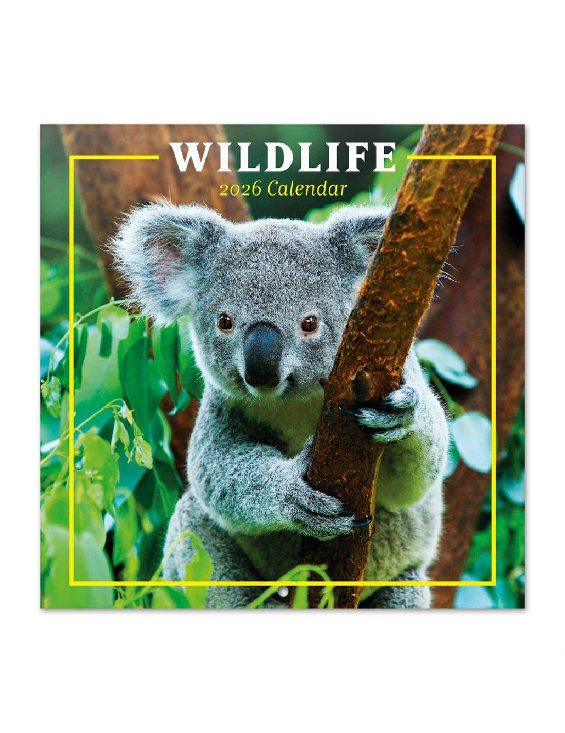 Calendario Da Muro 2026 Wildlife 30cm