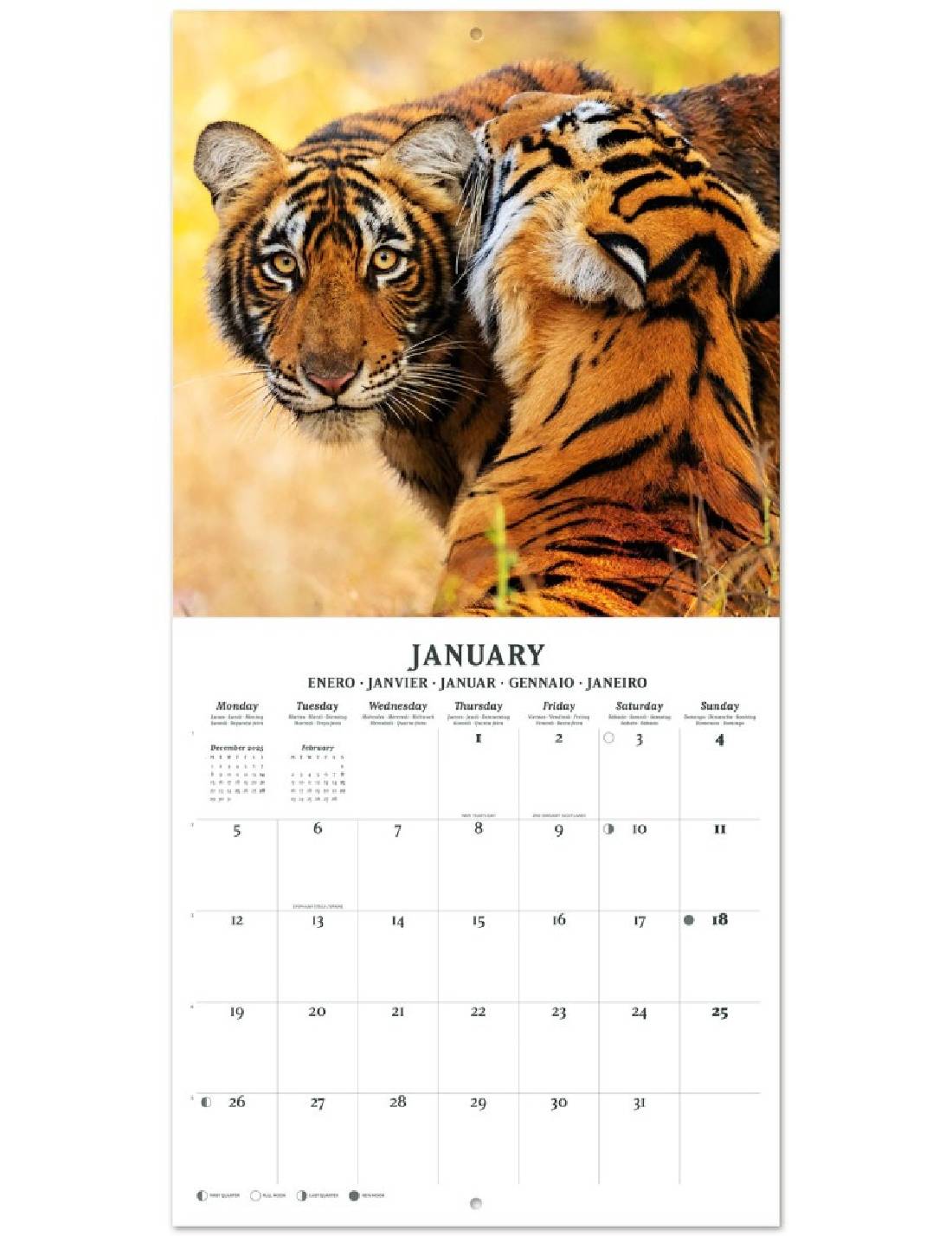 Calendario Da Muro 2026 Wildlife 30cm