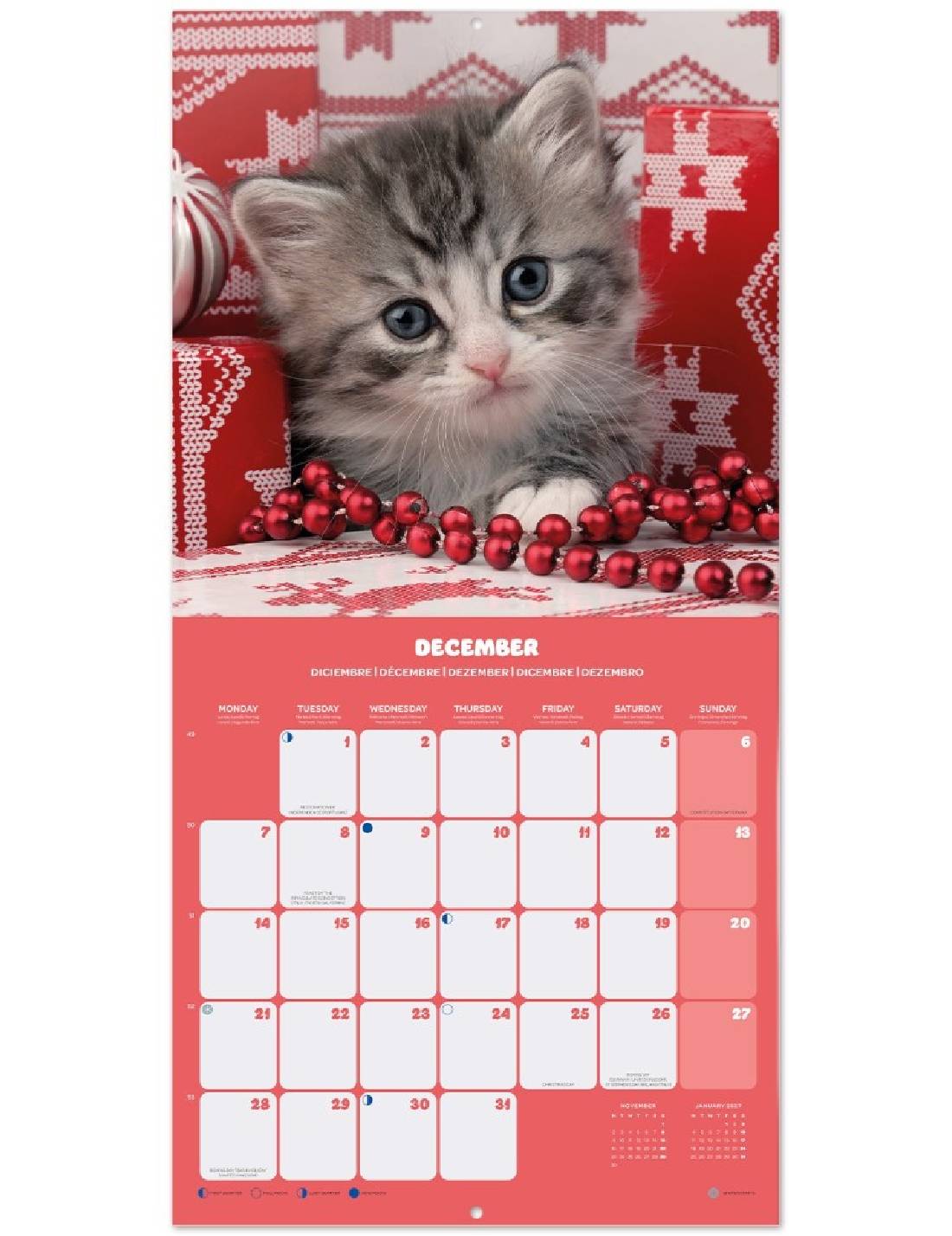 Calendario Da Muro 2026 Gattini 30cm
