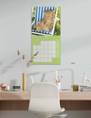 Calendario Da Muro 2026 Gattini 30cm