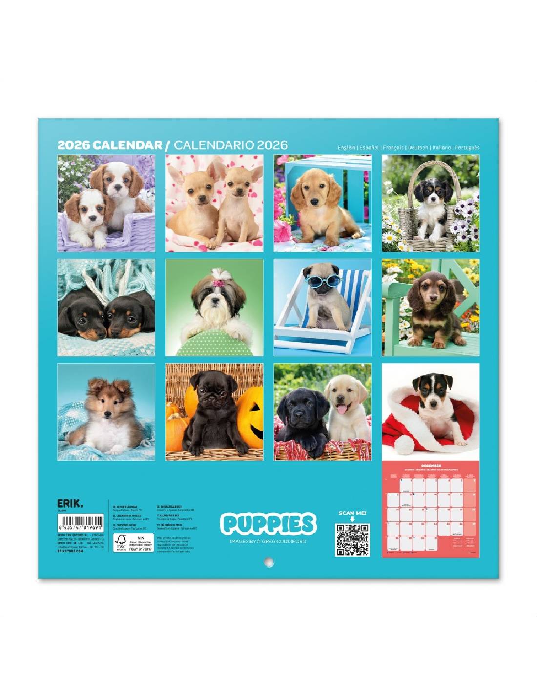 Calendario Da Muro 2026 Cuccioli 30cm