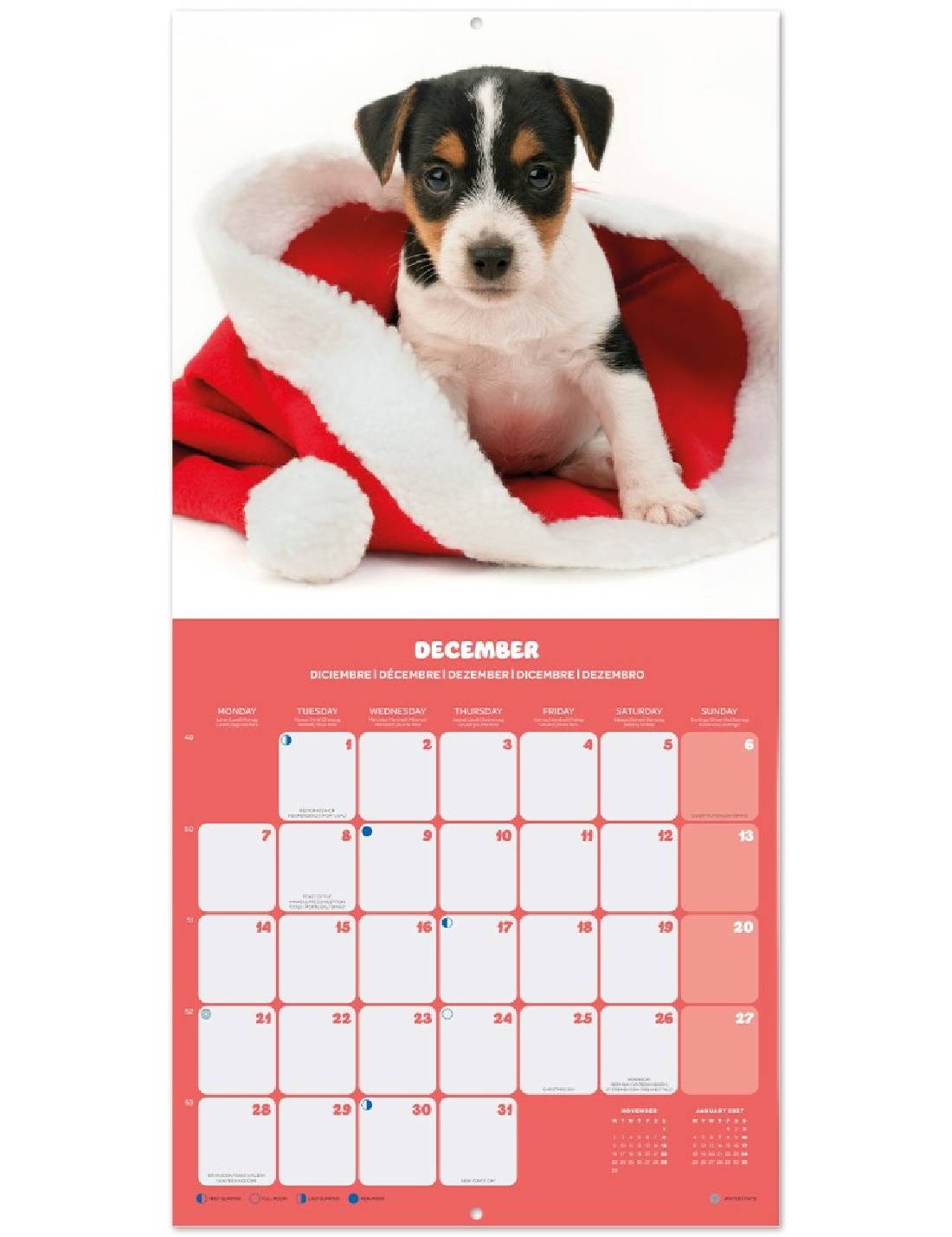 Calendario Da Muro 2026 Cuccioli 30cm