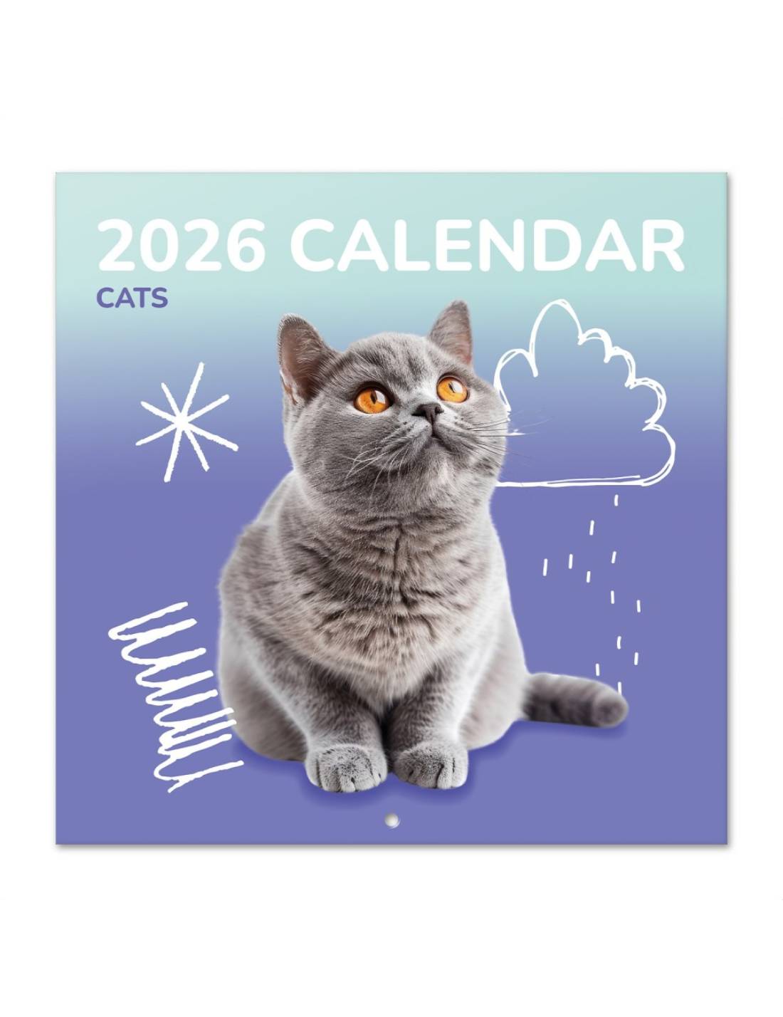 Calendario Da Muro 2026 Gatti 30cm