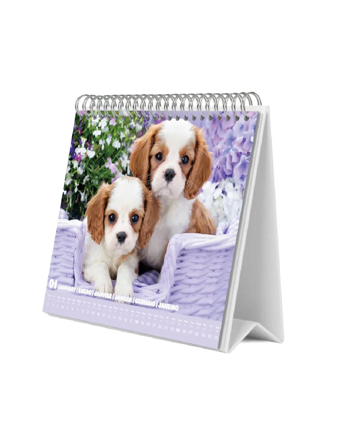 Calendario Da Tavolo 2026 Cuccioli 20cm