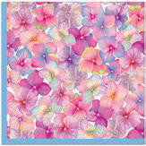 26402_1|05b8dd62b27c9f09459c36483253af3e