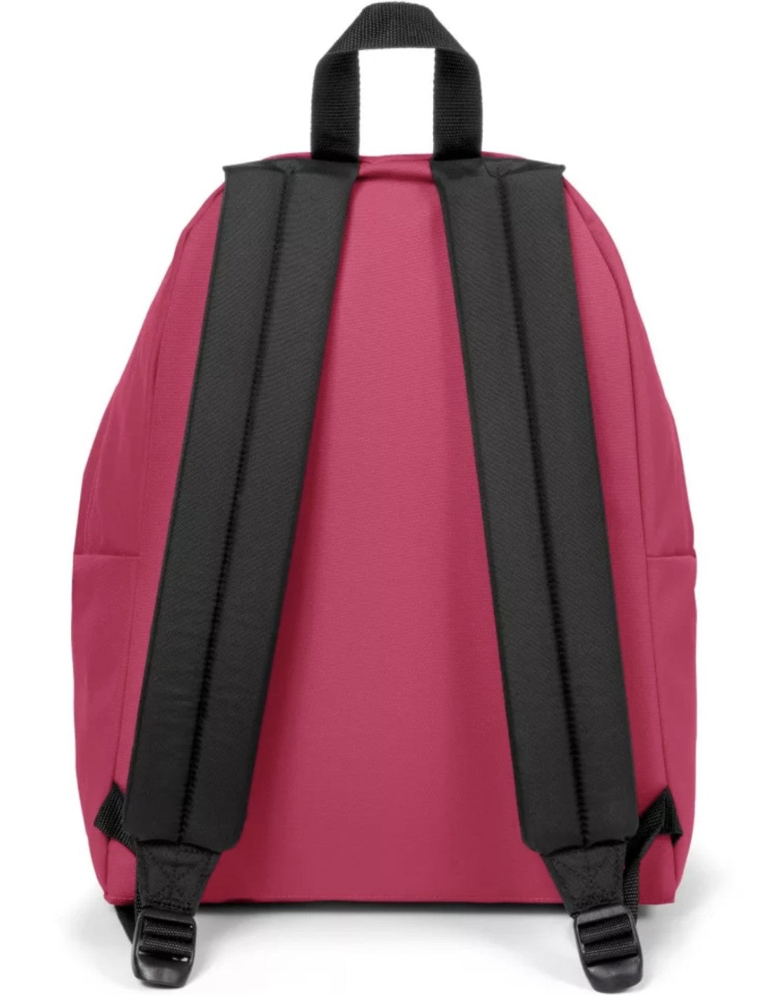 27067_1|94136c6ba96d5a076af06bad13871da5