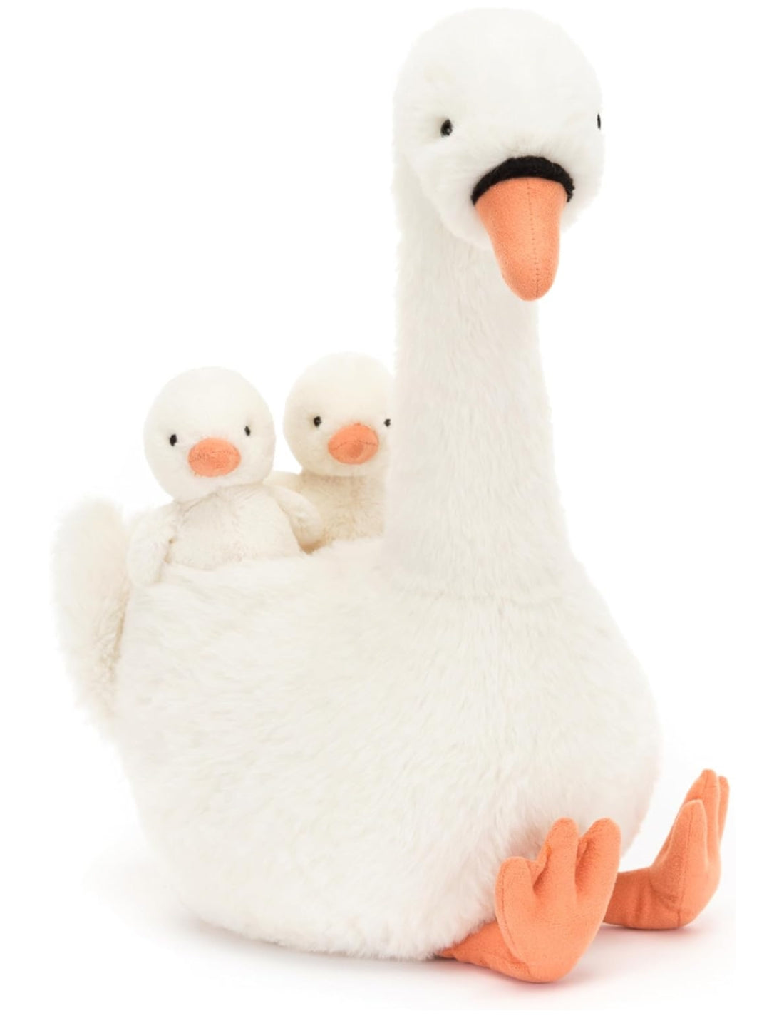 27787_1|0f679fcf64ad4259a3db5ccb96971cc1