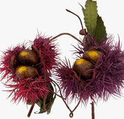 Ramo Artificiale Castagne Con Riccio