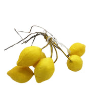 27808_1|8966448f86cb1f417481681ccaf8c0b9