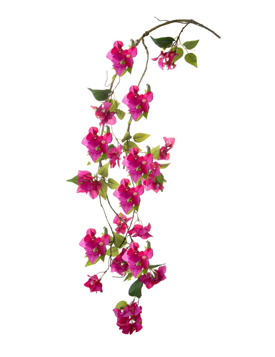 28112_1|64b232a9d1eea4dec8ff5c9ef4437a83