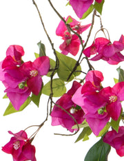 28112_2|a38700370adb3fb45432d867eedafd84