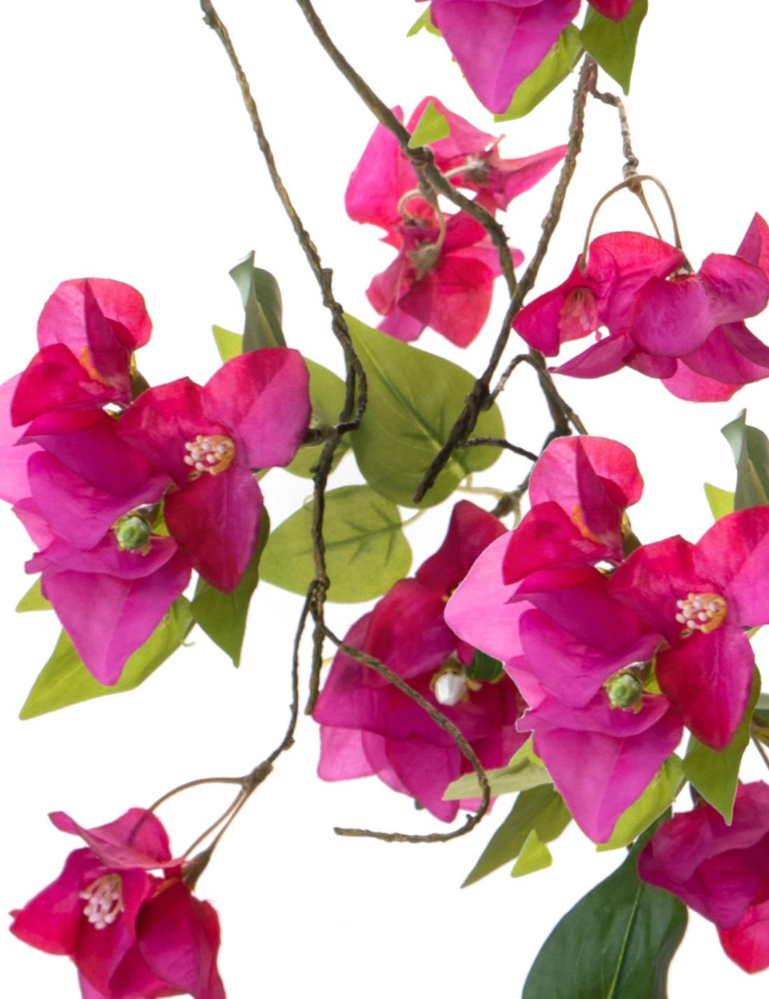 28112_2|a38700370adb3fb45432d867eedafd84