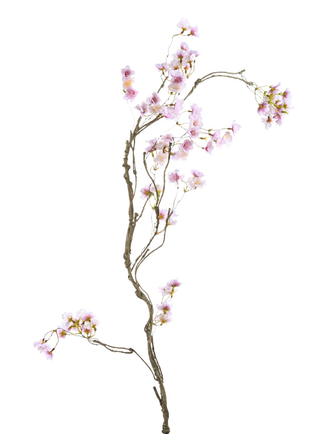 28114_1|db2f06925c0b584212ac9d401adcb545