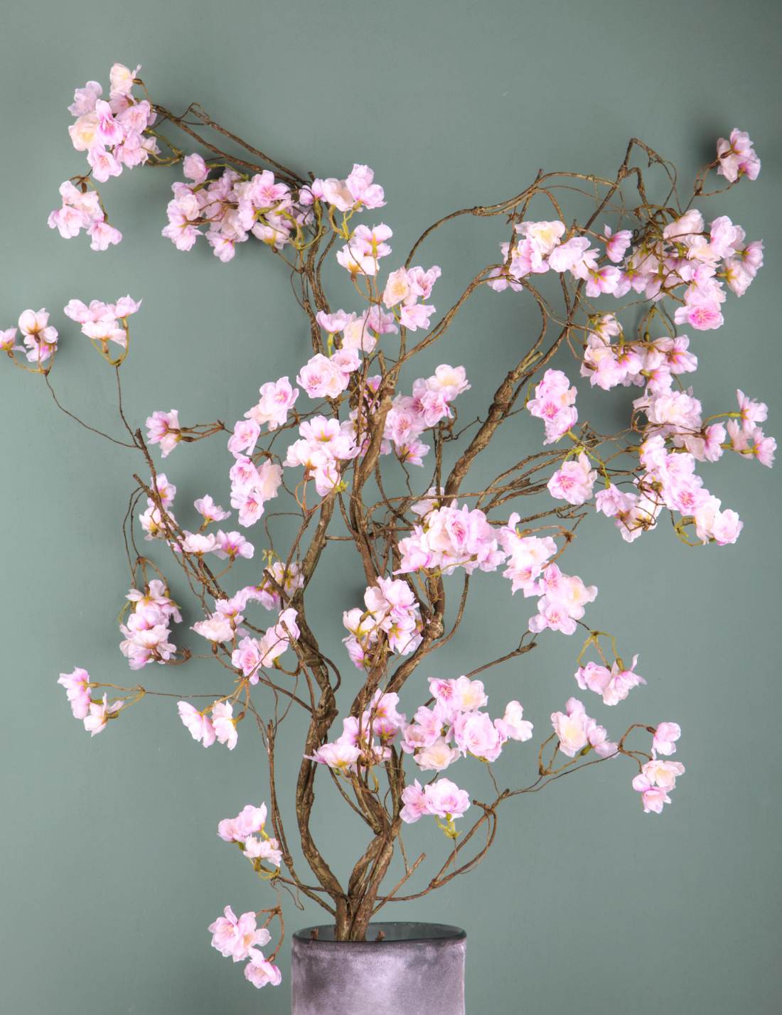 28114_2|2a3f25cd0e22db5e89cf8b9ca6709a99