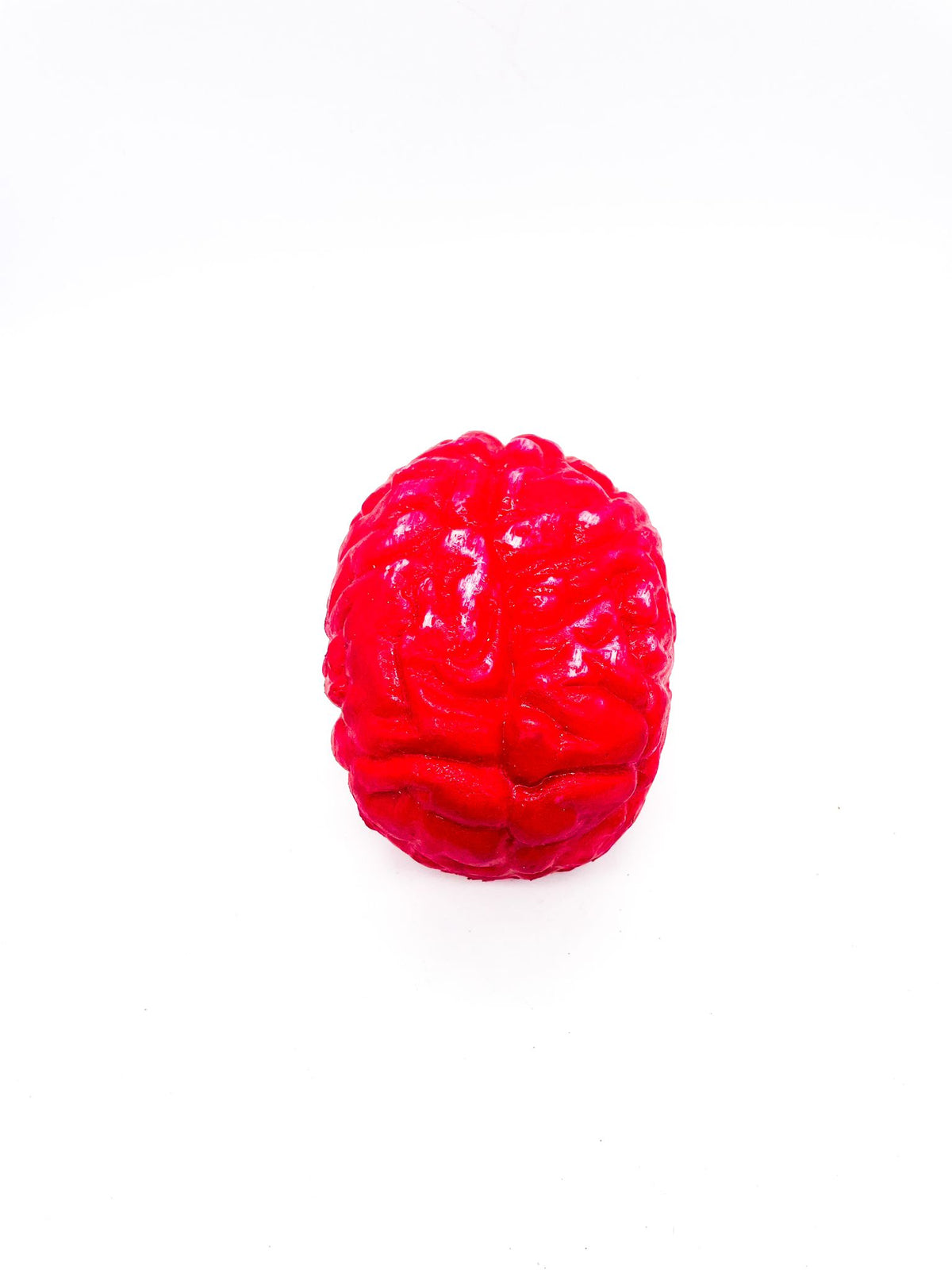 Cervello Morbido In Gomma Ornamenti Halloween