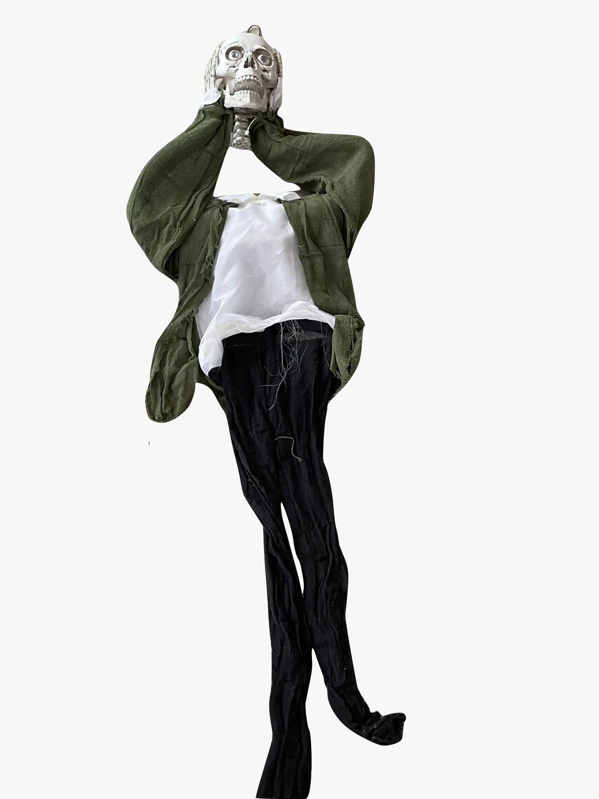 29631_1|8aab21fdf75c1b823ca8e422b14b412e