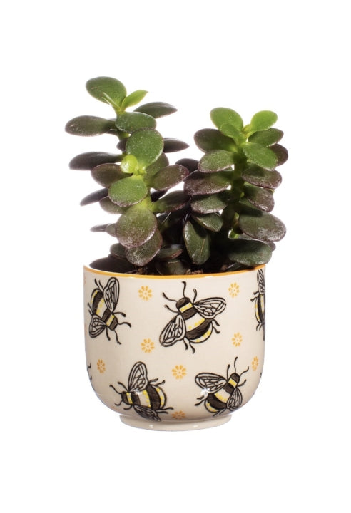 Mini Vaso Fioriera Libby Dipinto A Mano