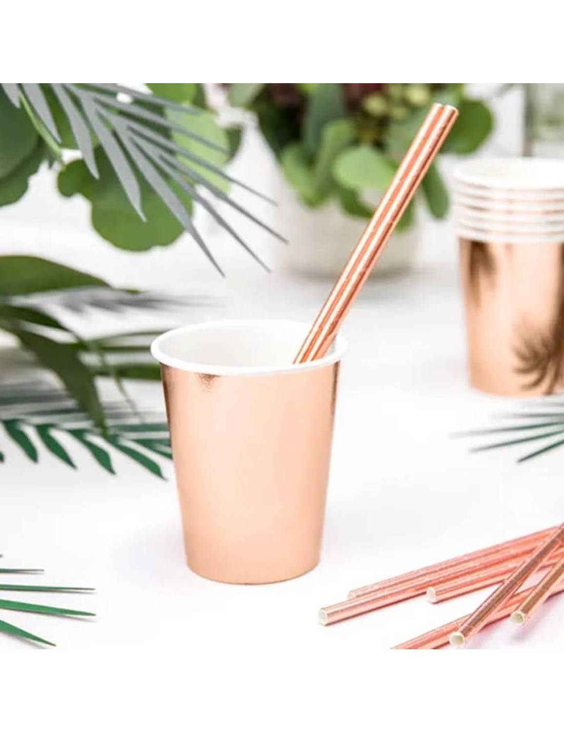 30119_2|9e9f41e71b9c5e701473446a1648ff85