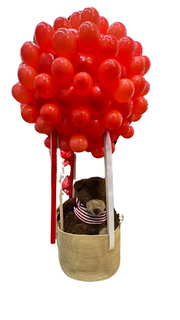 Mongolfiera Di Palloncini Con Orso Teddy