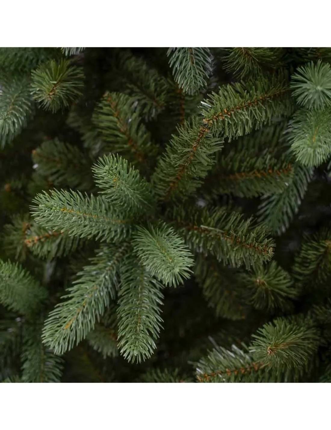 Albero Di Natale Abete Nigata Verde h240cm
