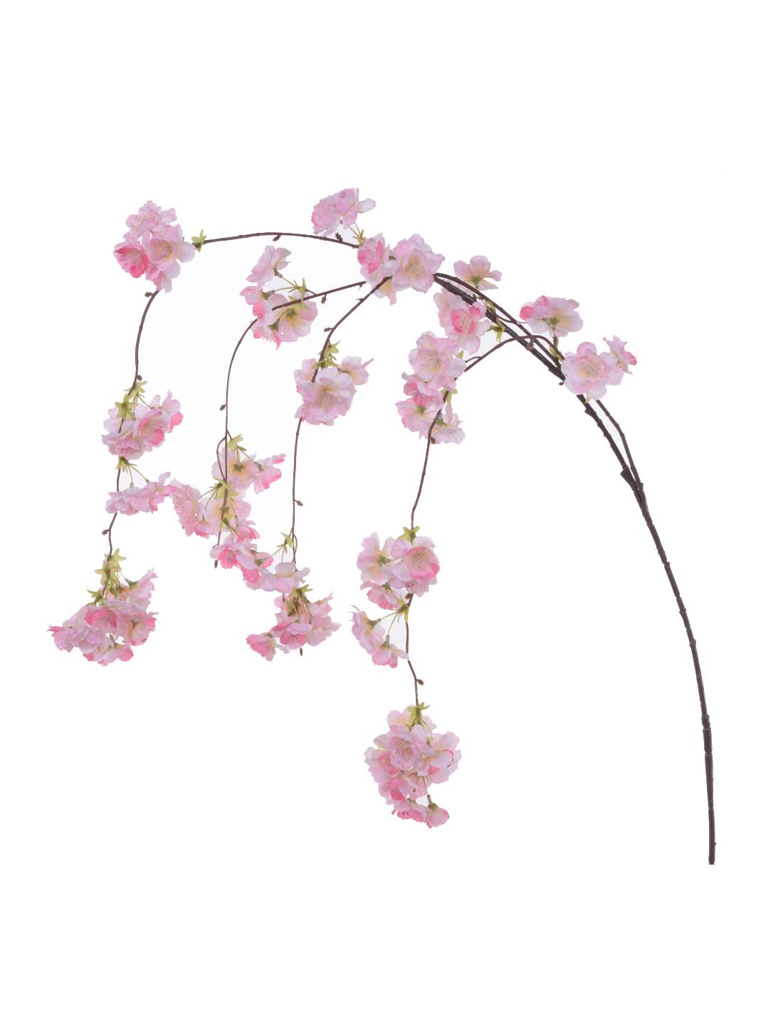 32021_1|8b2db95b46d7c515d9c5e01f5e85ecaf