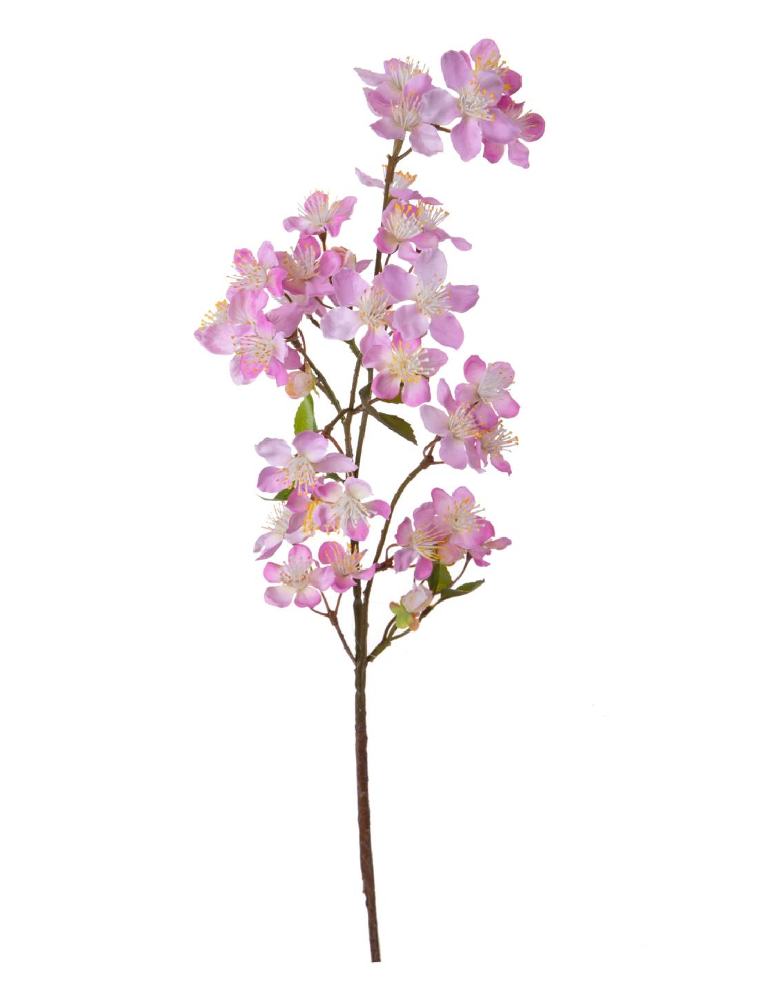 32022_1|27dfbd734d7eabba404a88ed6240937e