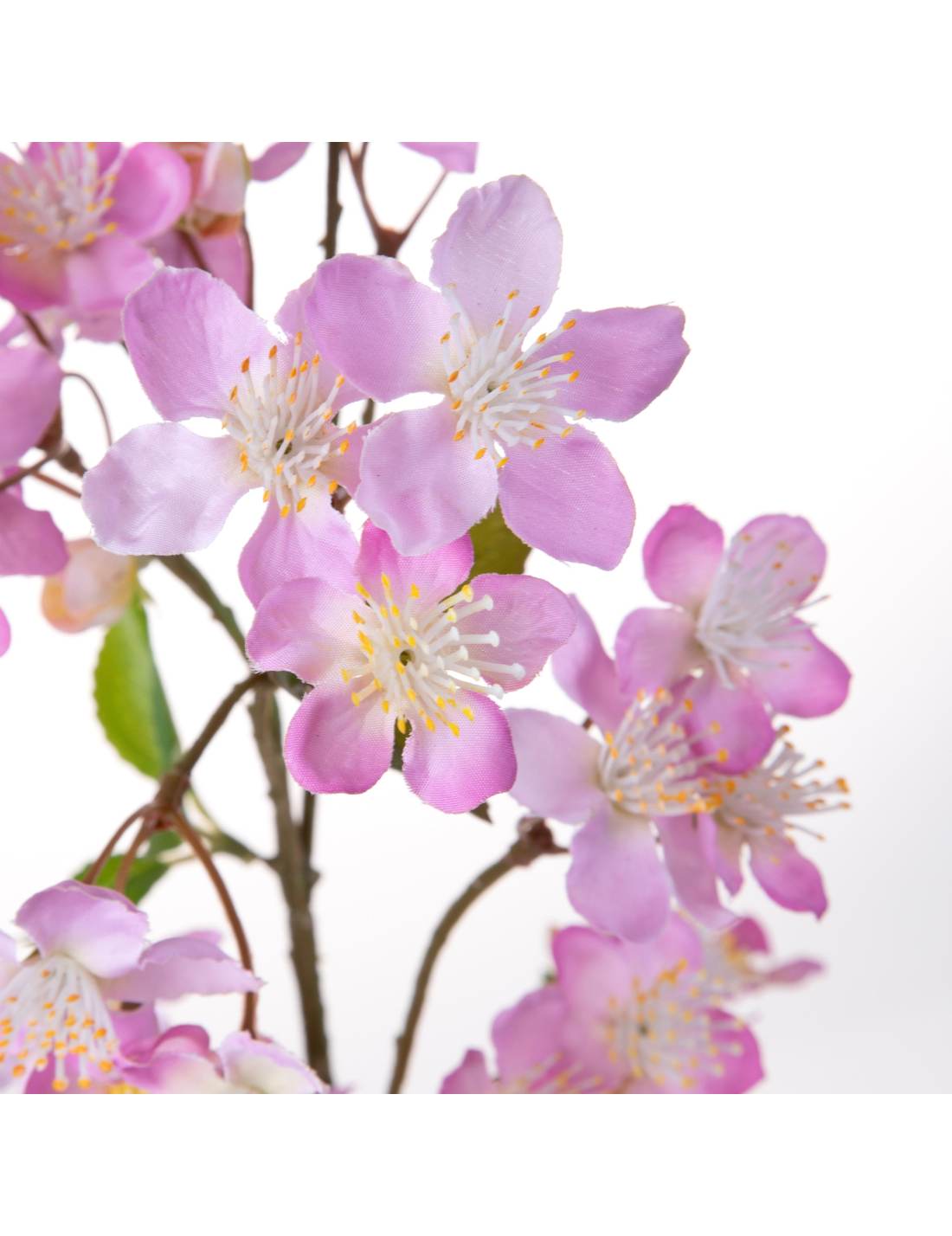 32022_2|f643ed0a3a143fe6e1bbc06e25857521