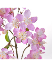 32022_2|f643ed0a3a143fe6e1bbc06e25857521