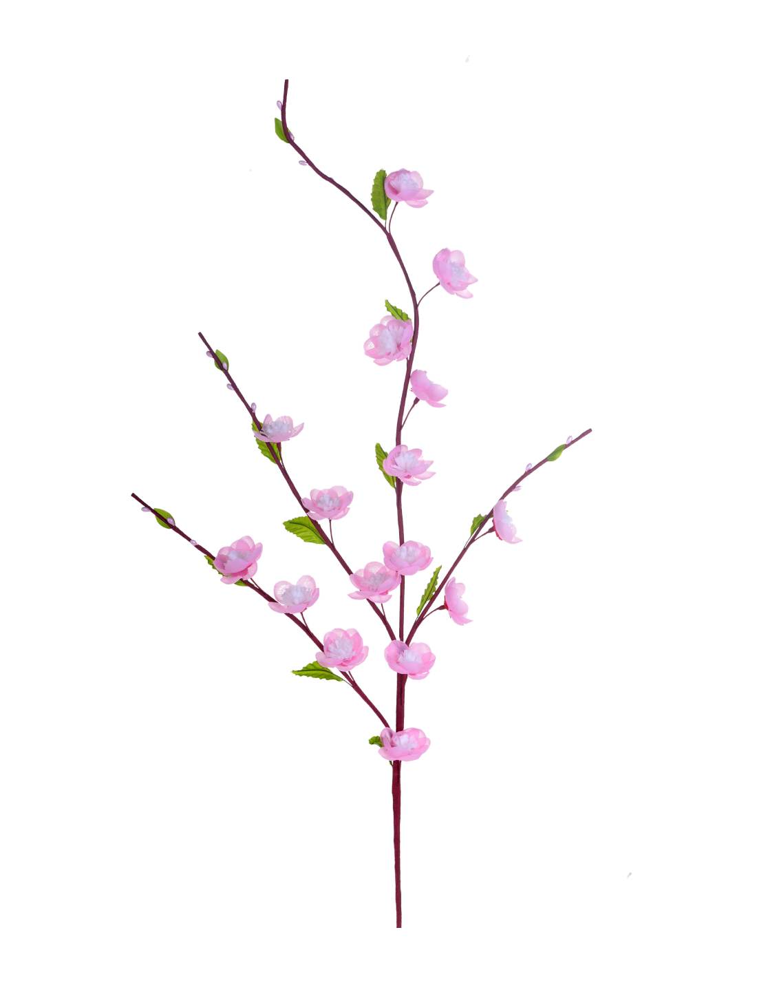 32023_1|aafff51ecbe4c94a03fa7bc203f4827b