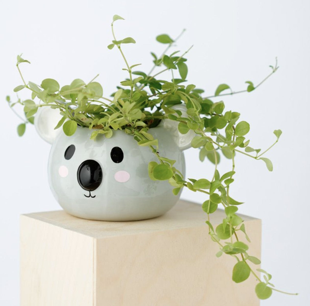 32174_4|0673232295f32d6b022aaf326095aa15