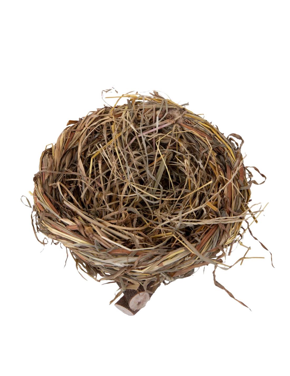 32334_3|32e221644a1857f1c7bbb745dc4cfc66