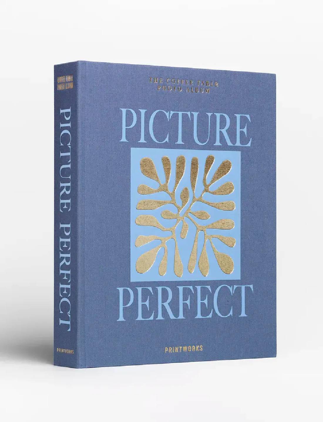 Album Fotografico Picture Perfect Blu
